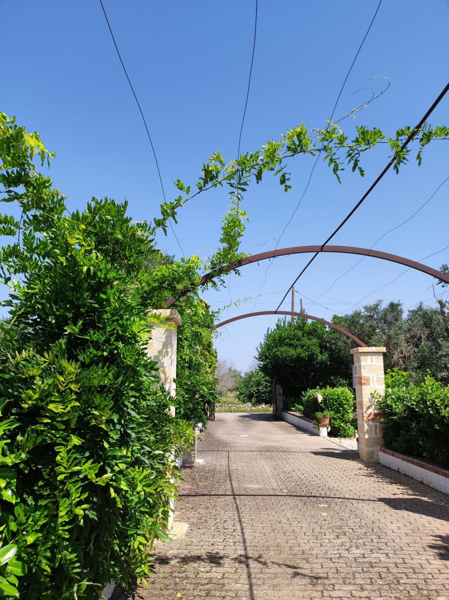 Contrada Macchia B&B Tricase Exterior photo